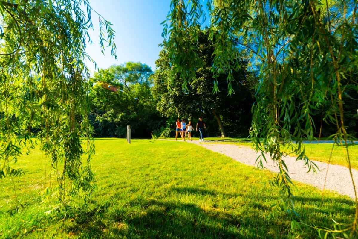 Woodland Mews, Ann Arbor - 3