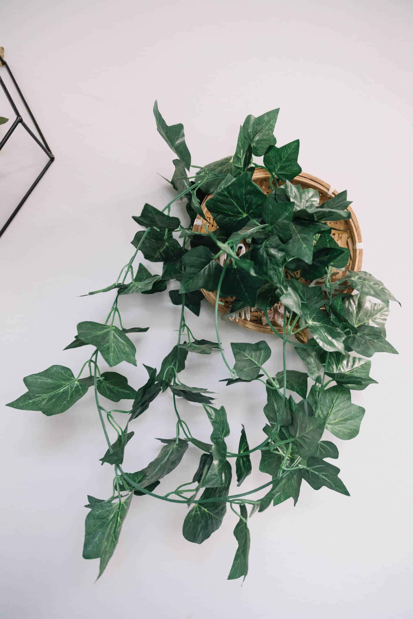 Carric Hostel, Melbourne - 5