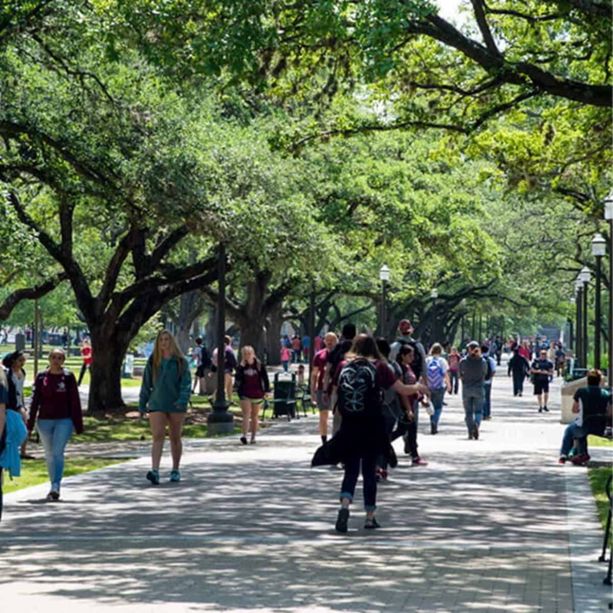 propertiesDetail image 50