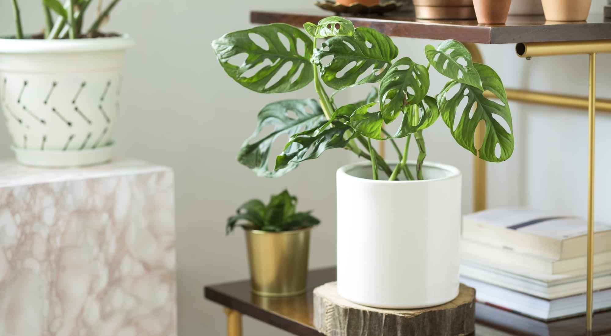 propertiesDetail image 12