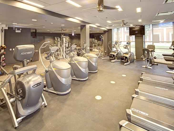 The Nest, Chicago - View 2