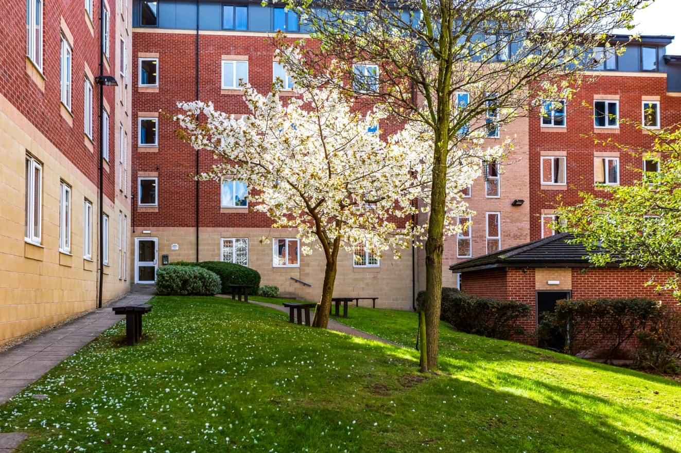 propertiesDetail image 22