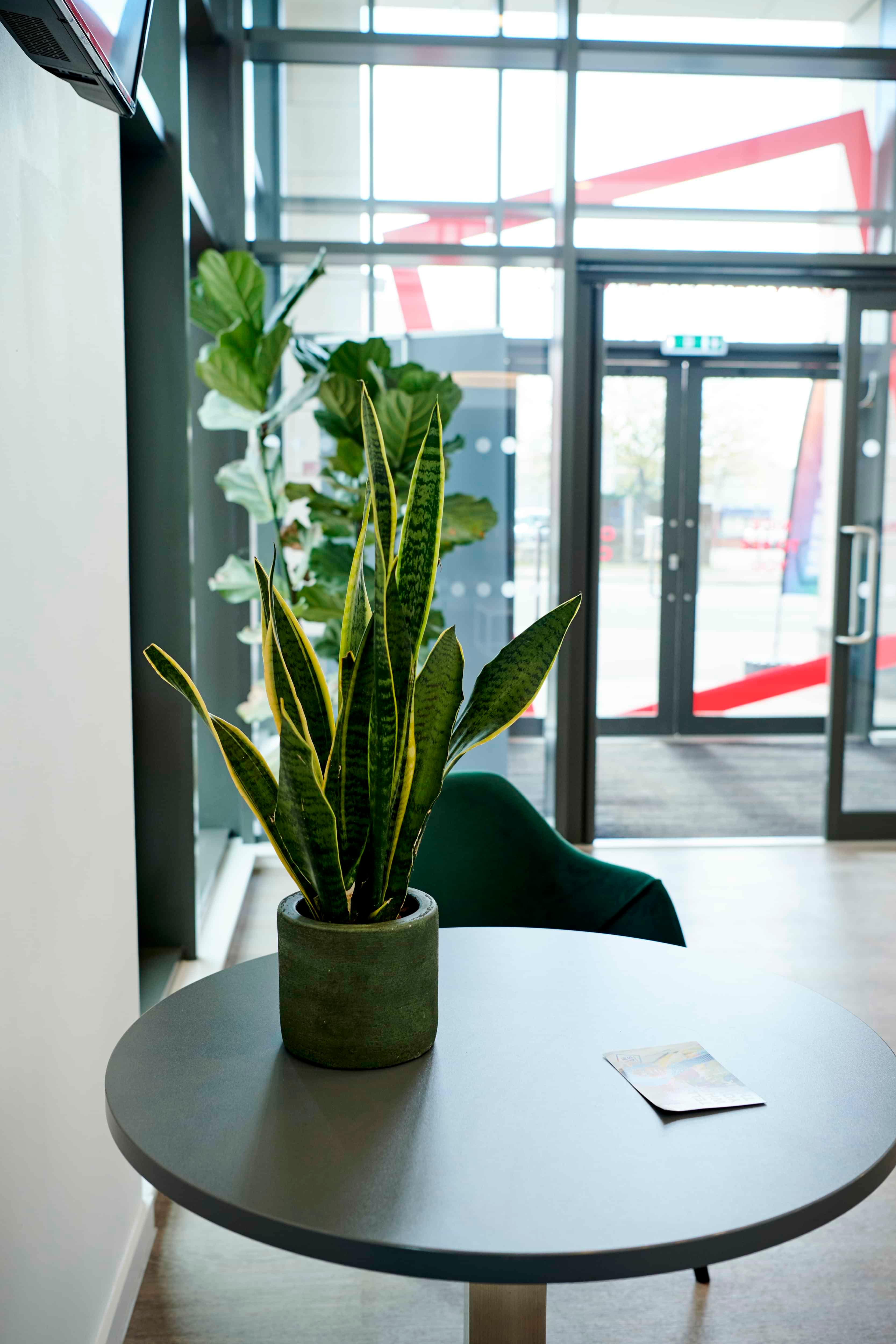 propertiesDetail image 44