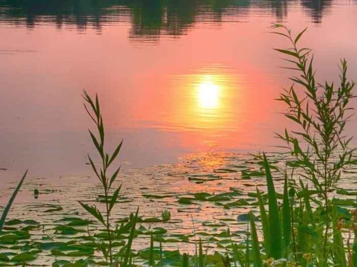 propertiesDetail image 29