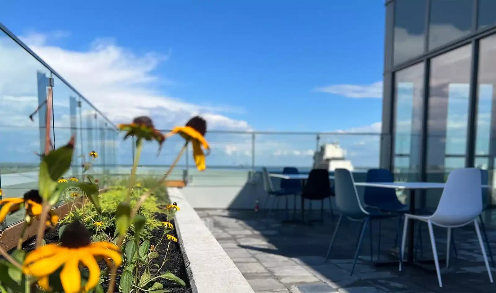 propertiesDetail image 4