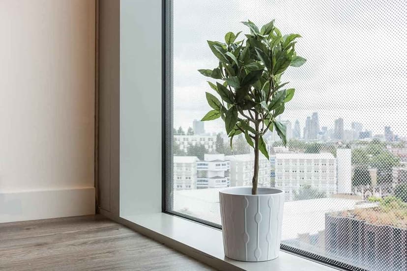 GoBritanya Kings Cross Residence, London - View 3