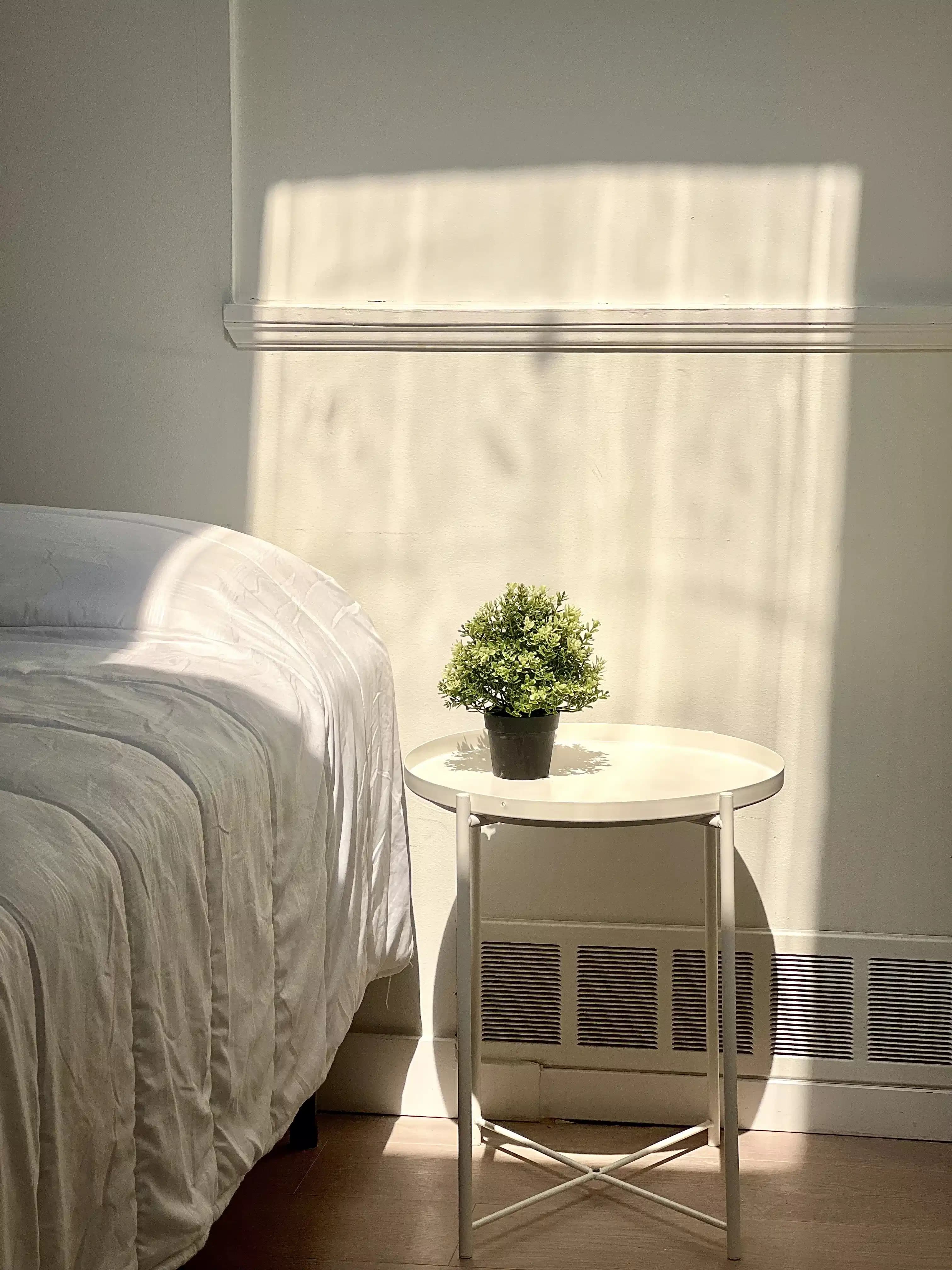  Citrine Room ( 1 Bed 1 Bath ) - Image 6