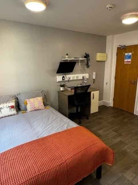 Classic Studio - Image 9