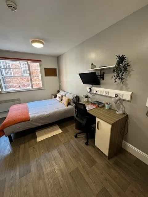 Classic Studio - Image 10