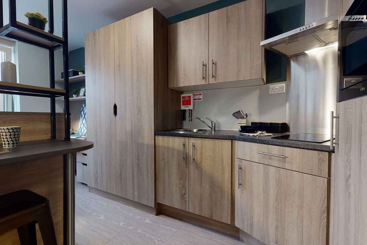 Bronze Studio Plus  - Image 3