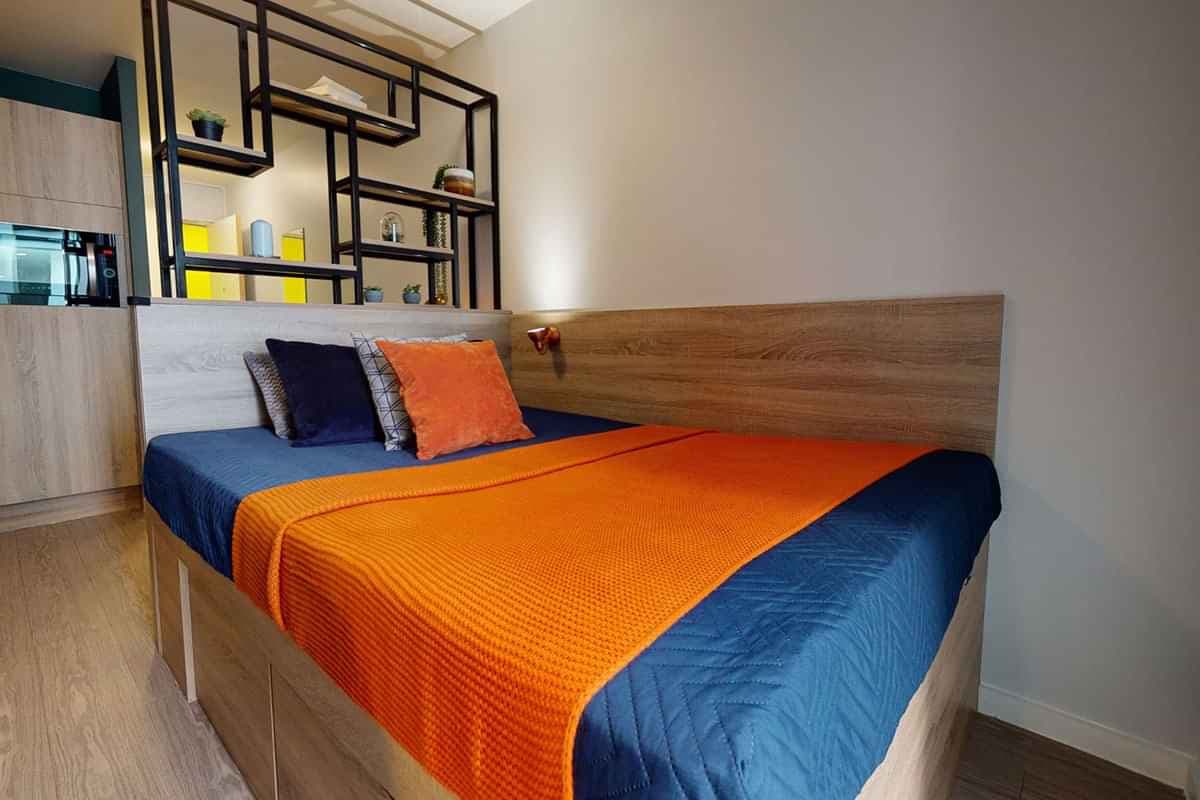 Bronze Studio Plus  - Image 5