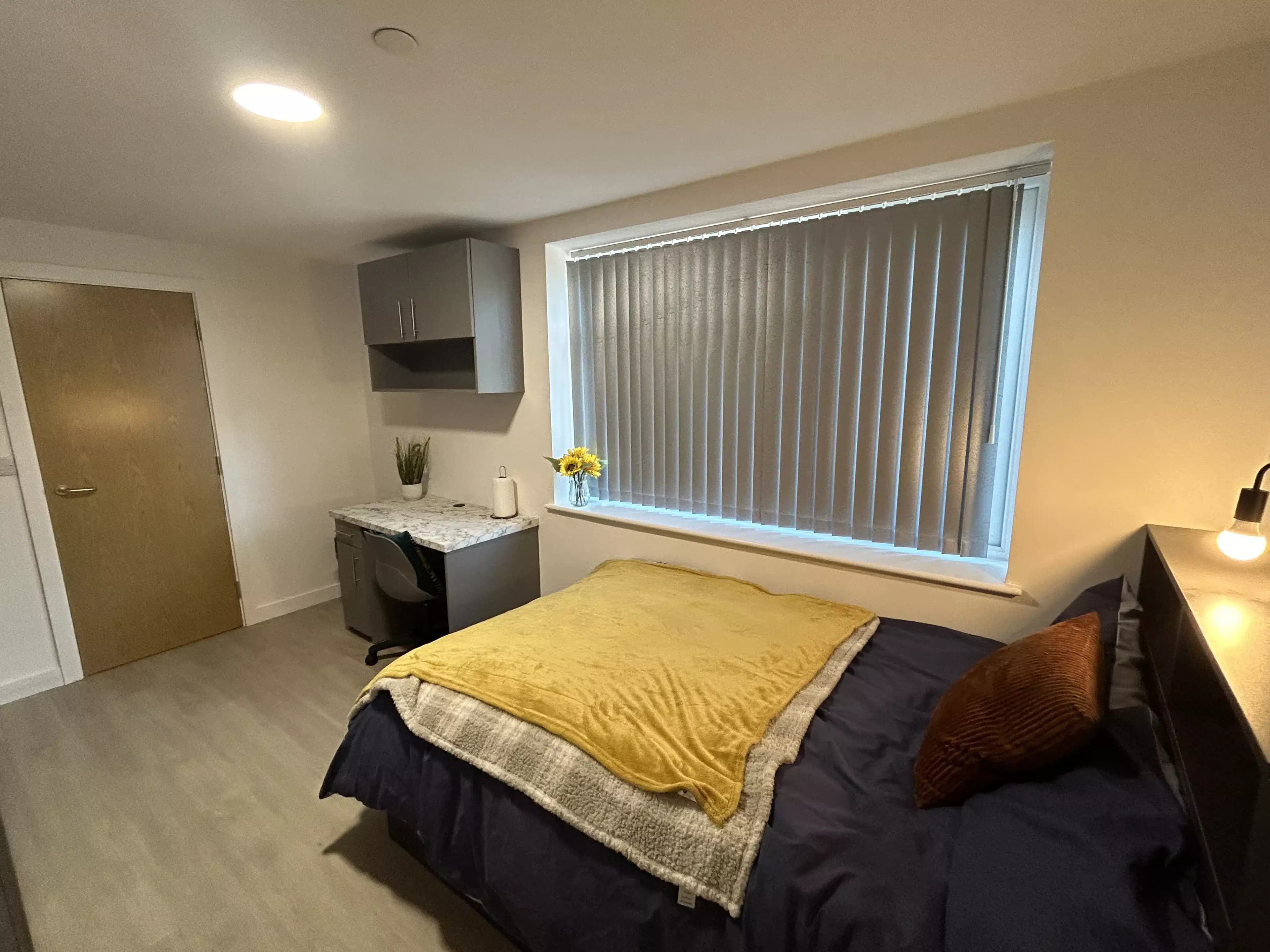 Gold Studio - Image 4