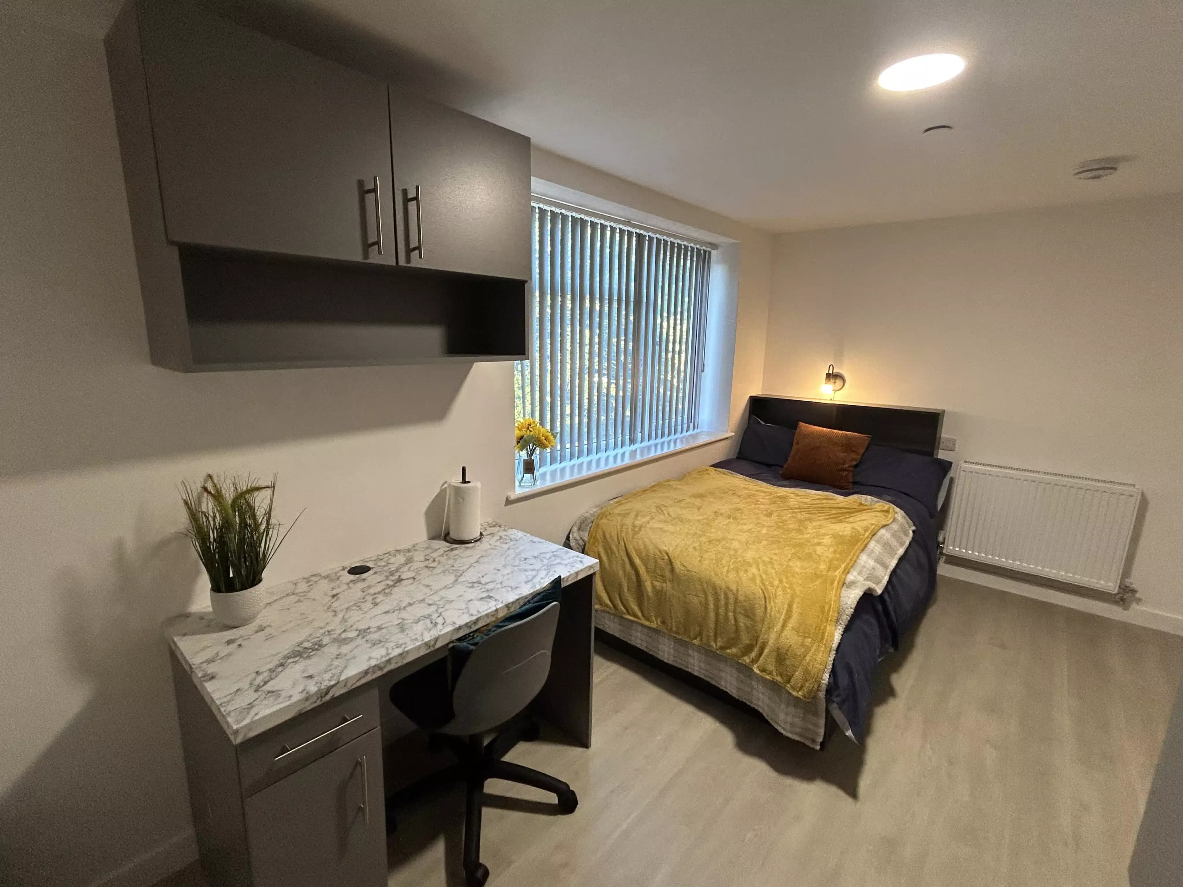 Gold Studio - Image 6