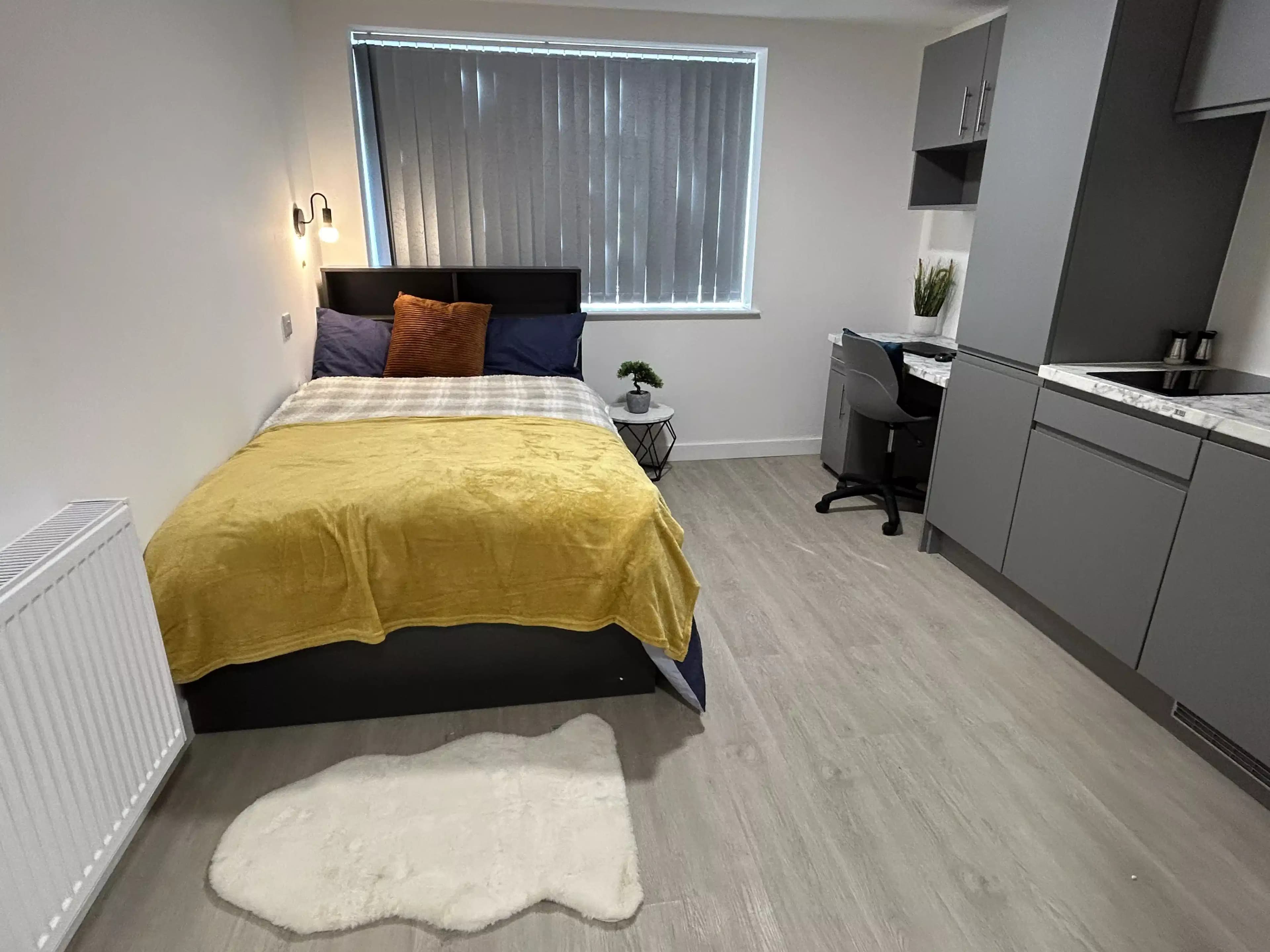 Platinum Studio - Image 15