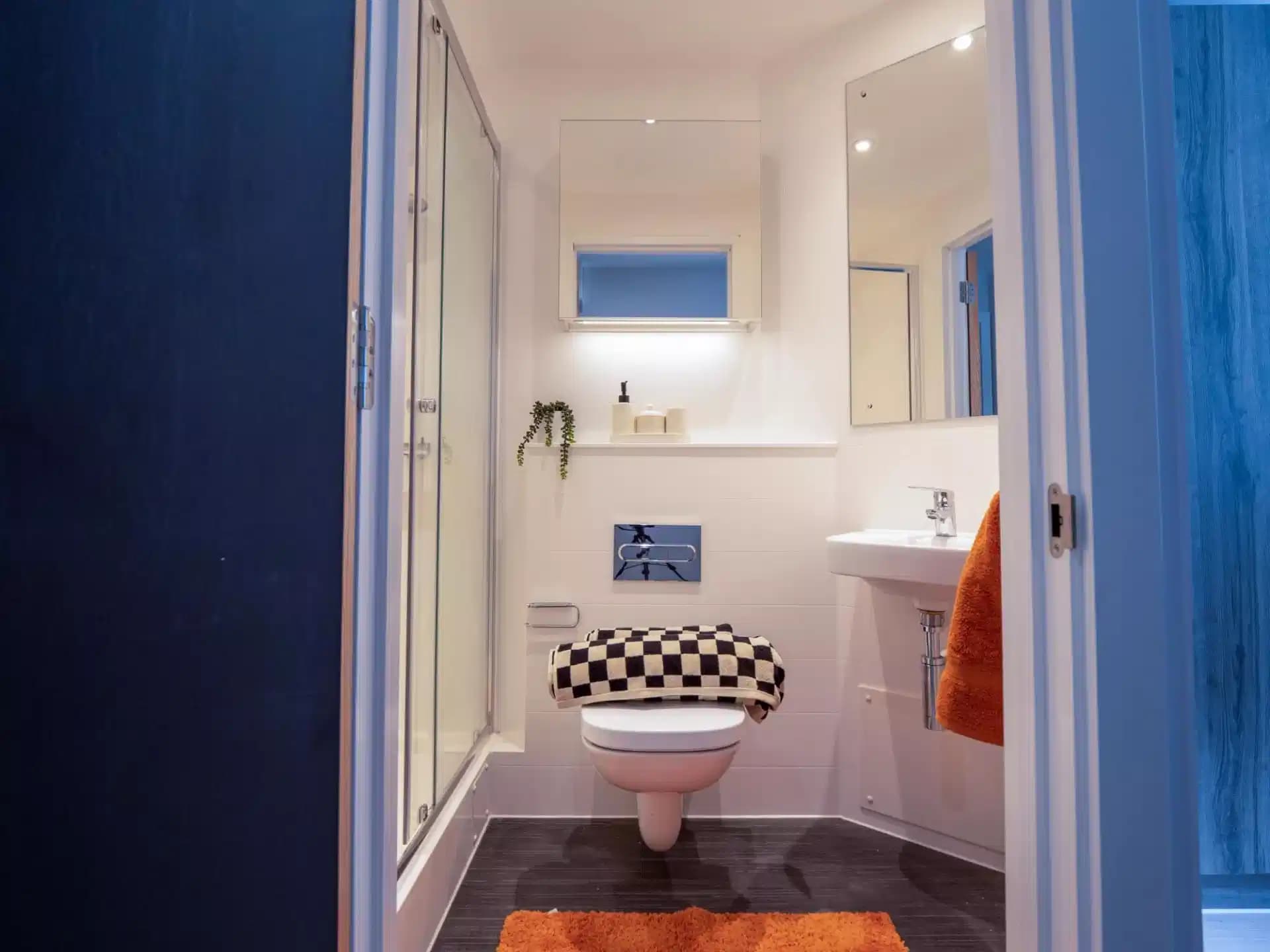 Classic Ensuite Plus - Image 3