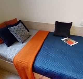 Bronze Studio Plus - Image 4