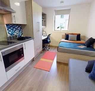 Bronze Studio Plus - Image 3