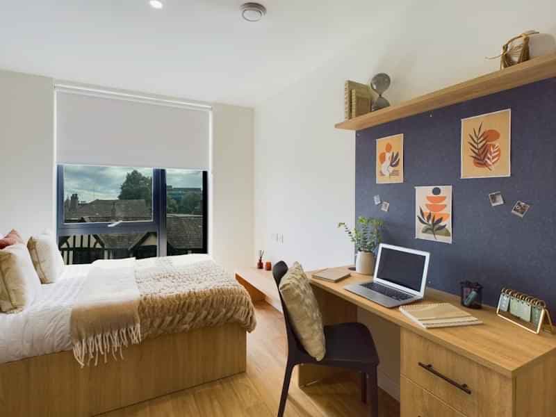 Standard Studio - Image 4