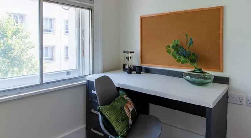 Standard Studio - Image 5