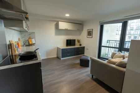 Studio Apartment BTR - Non-Student - Image 3