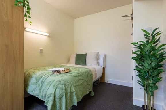 Bronze Non Ensuite – Medium| 3 or 4 Bedroom Flat - Image 1