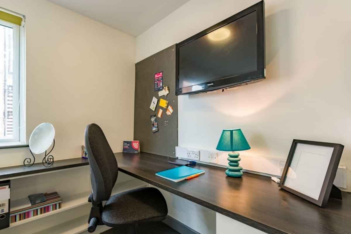 Extra Large Studio - Image 3