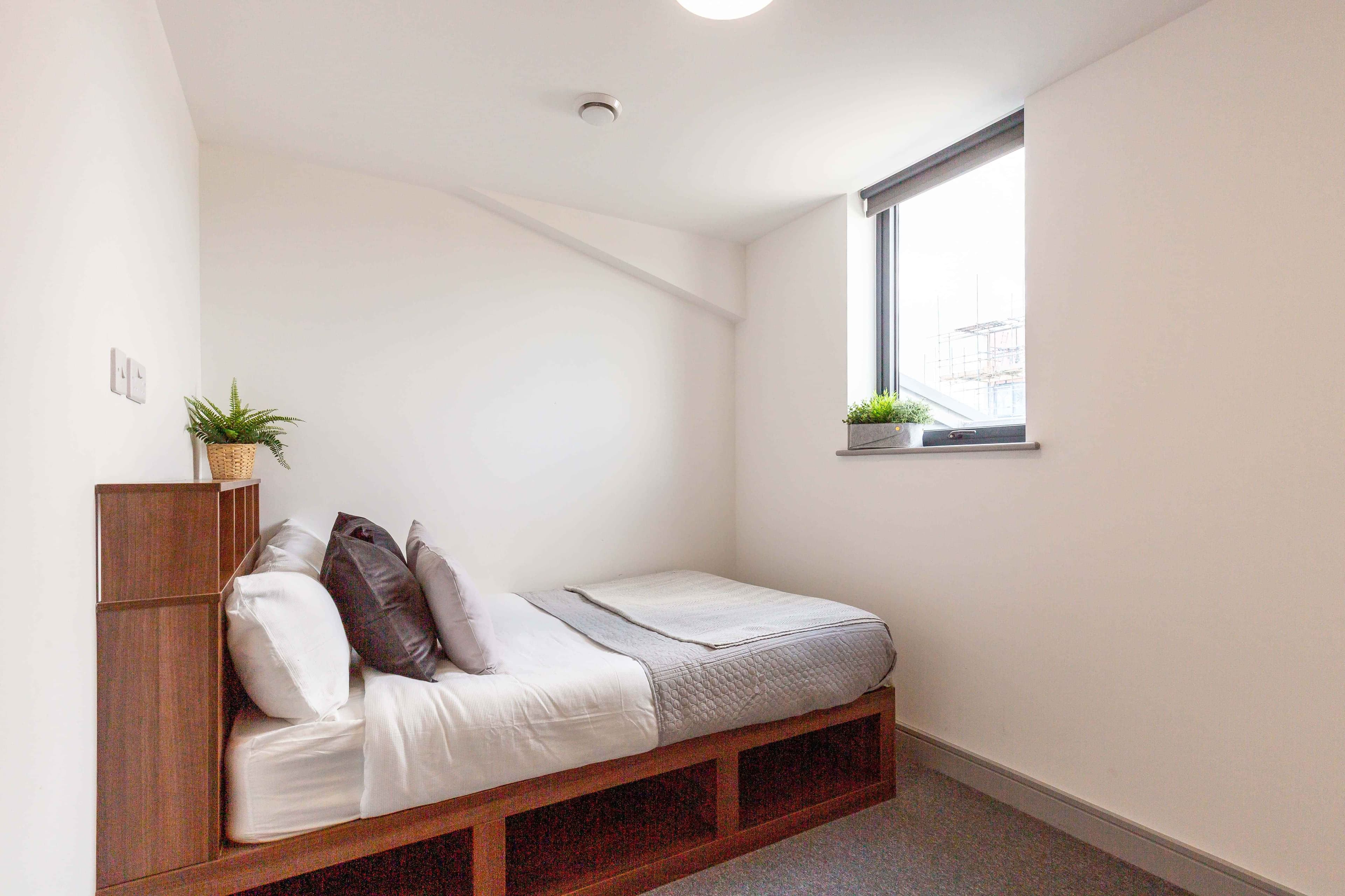 Standard  Plus Ensuite - Image 3