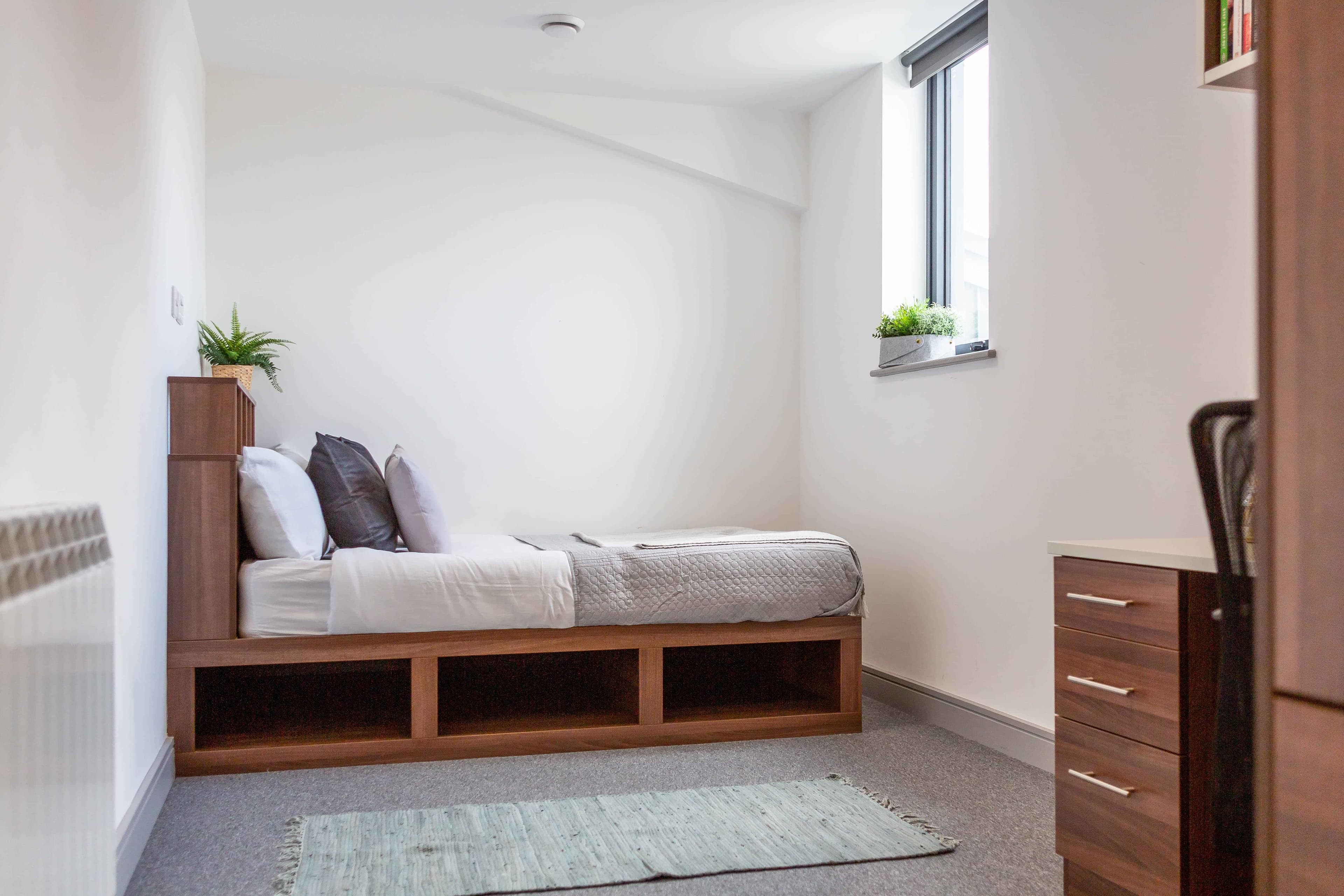 Standard  Plus Ensuite - Image 18