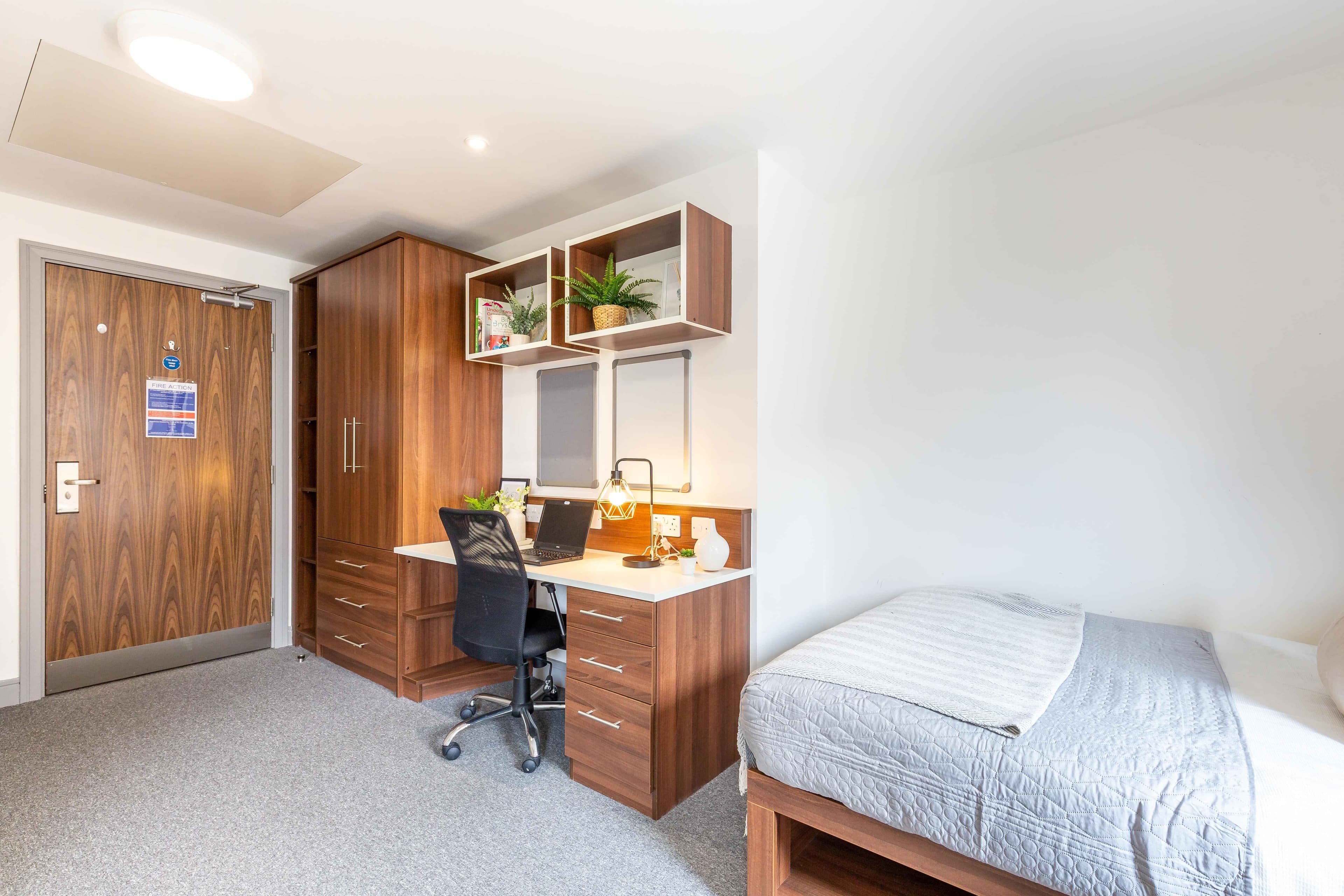 Standard Plus Studio - Image 5