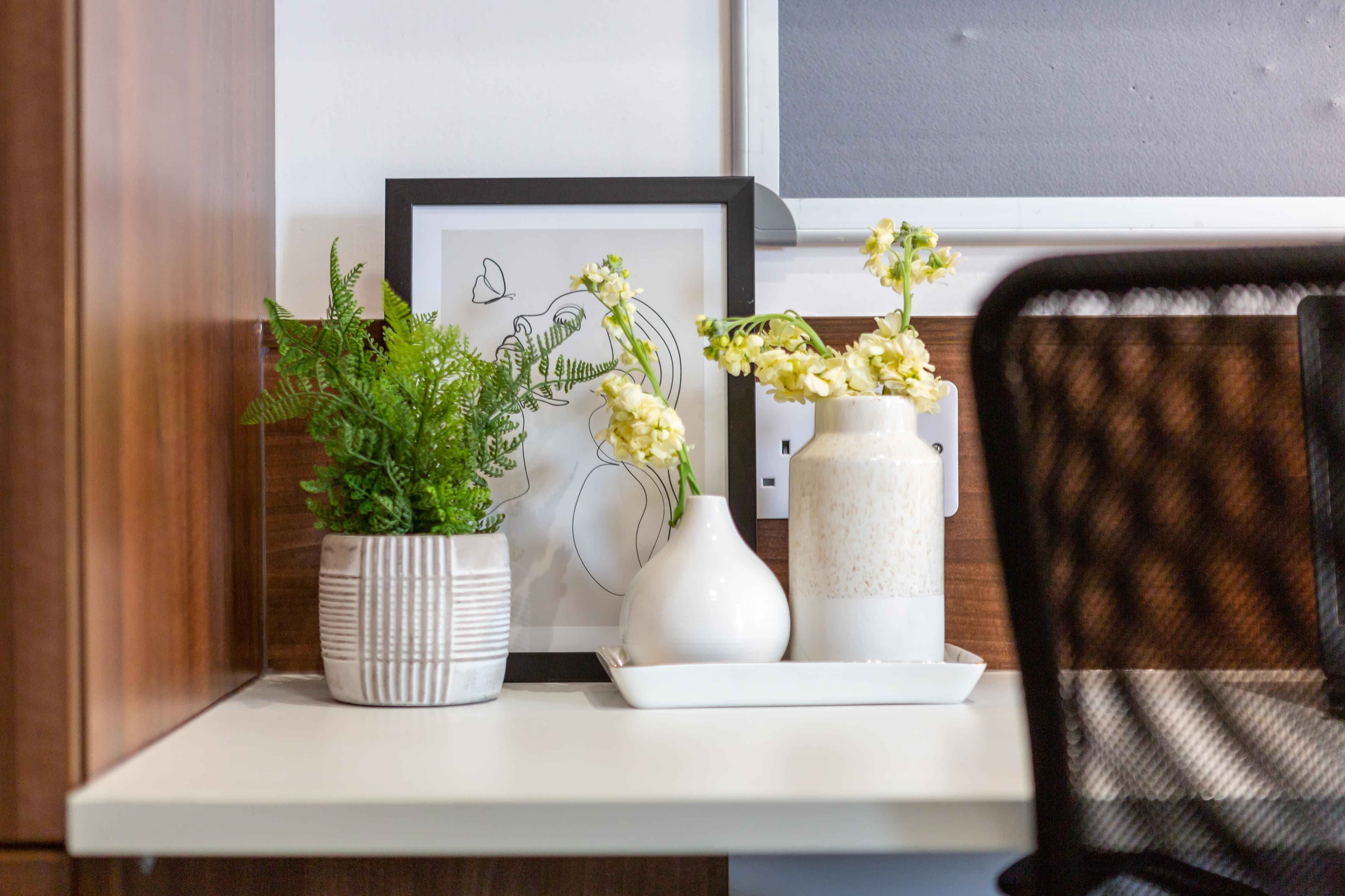 Standard Plus Studio - Image 23