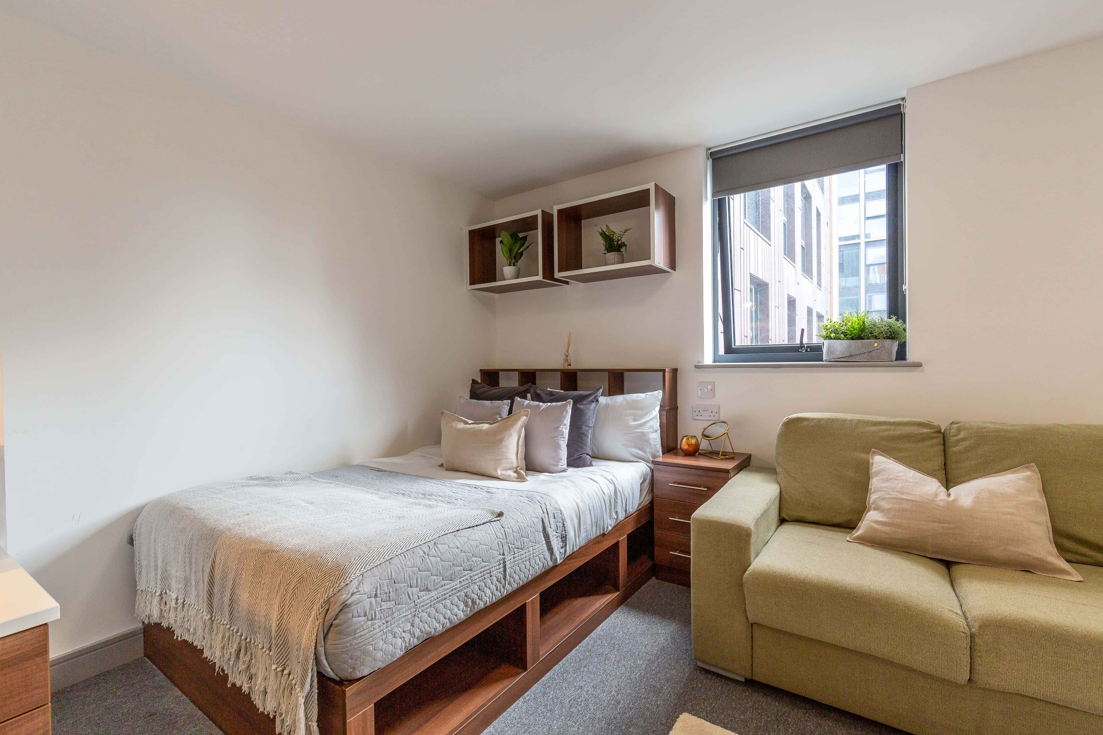 Standard Plus Studio - Image 1