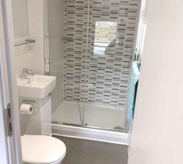 Studio Bronze - Image 4