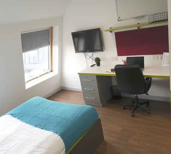 Studio Bronze - Image 2