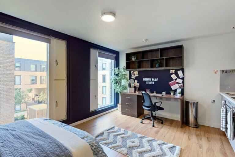 Luxury Plus Studio - Image 8