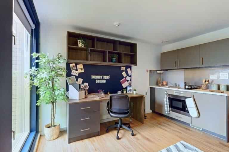 Luxury Plus Studio - Image 3