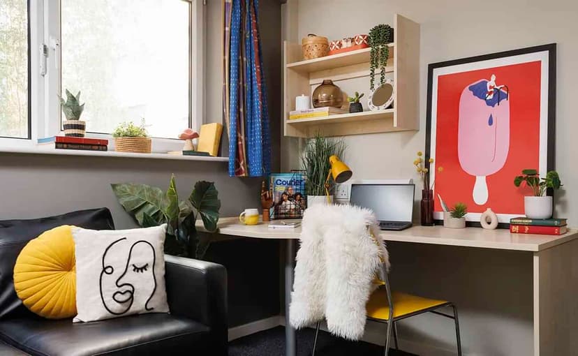 Classic Accessible Studio - Image 4