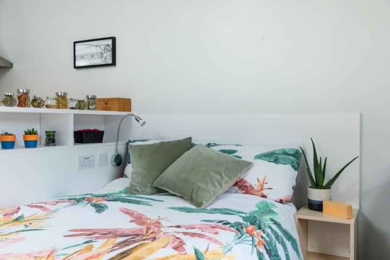 Classic Studio - Image 12