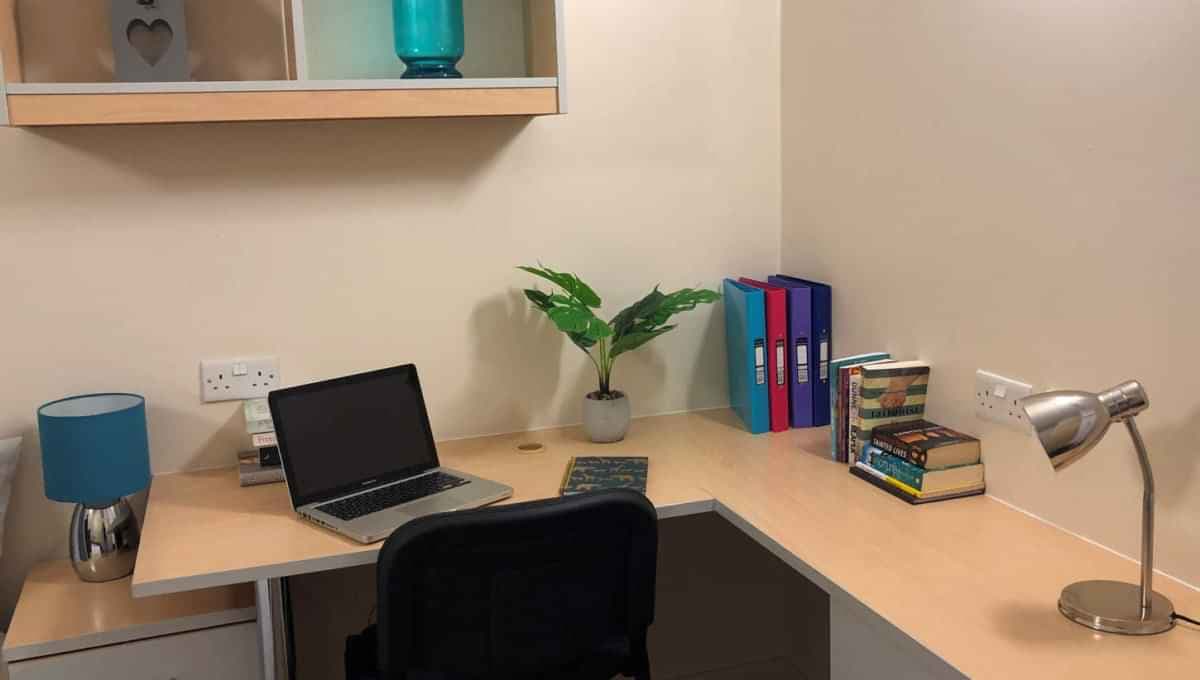 Deluxe Studio - Image 2