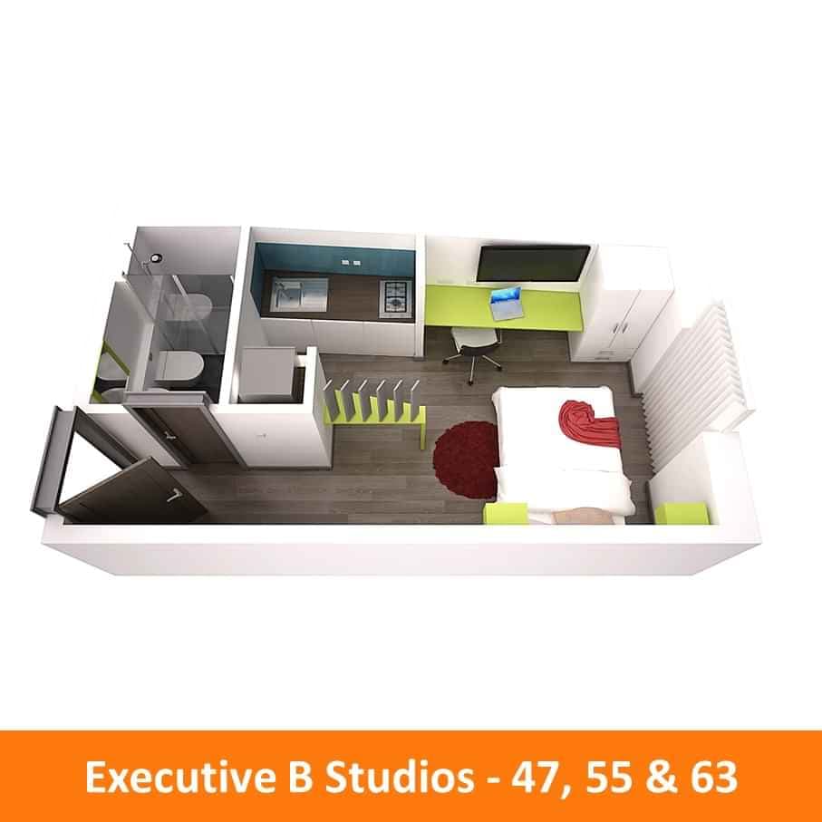 Executive Studio - Image 17