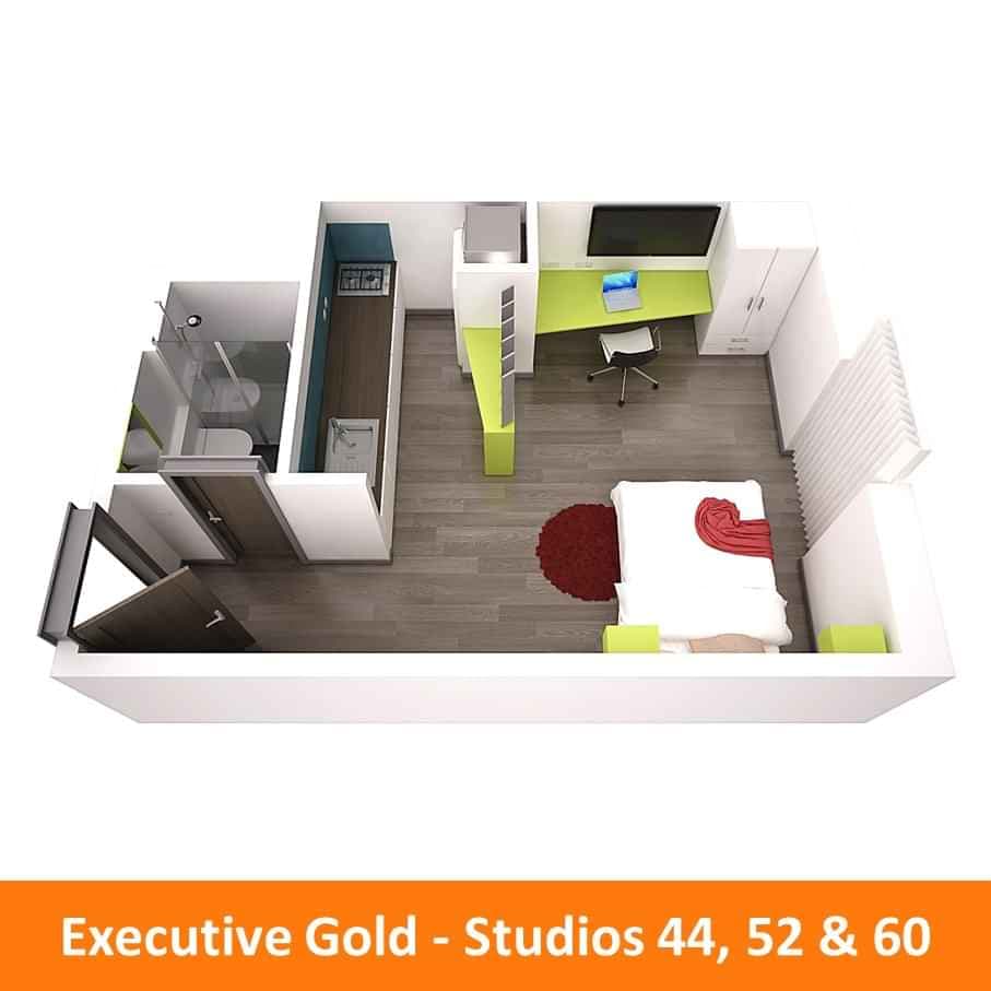 Executive Gold Studio - Image 10