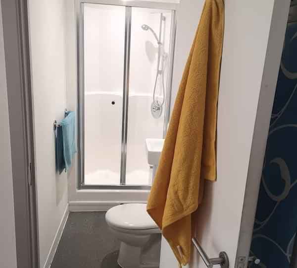 Studio Gold - Image 4