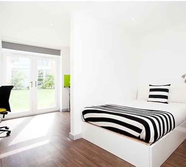 Studio Gold - Image 3