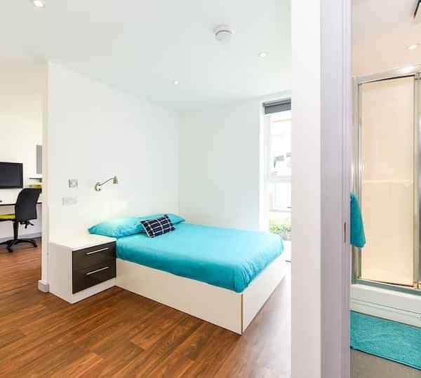 Studio Gold - Image 1