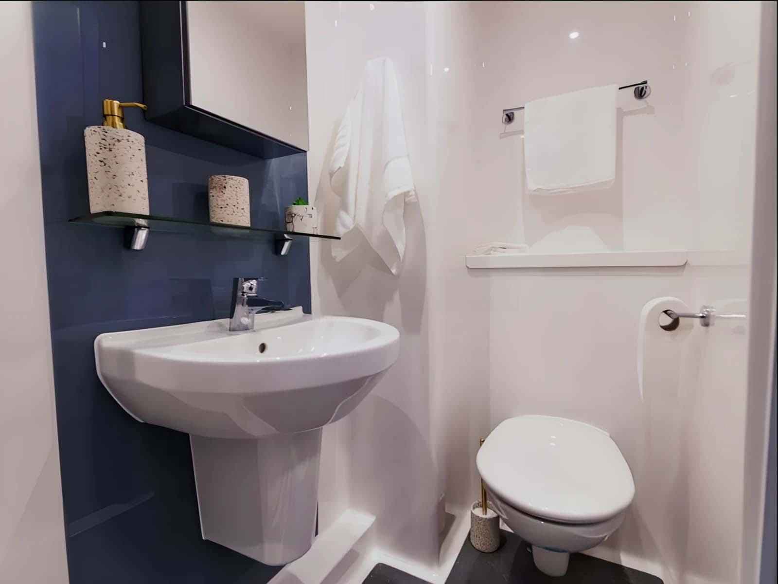 Silver Ensuite - Image 4