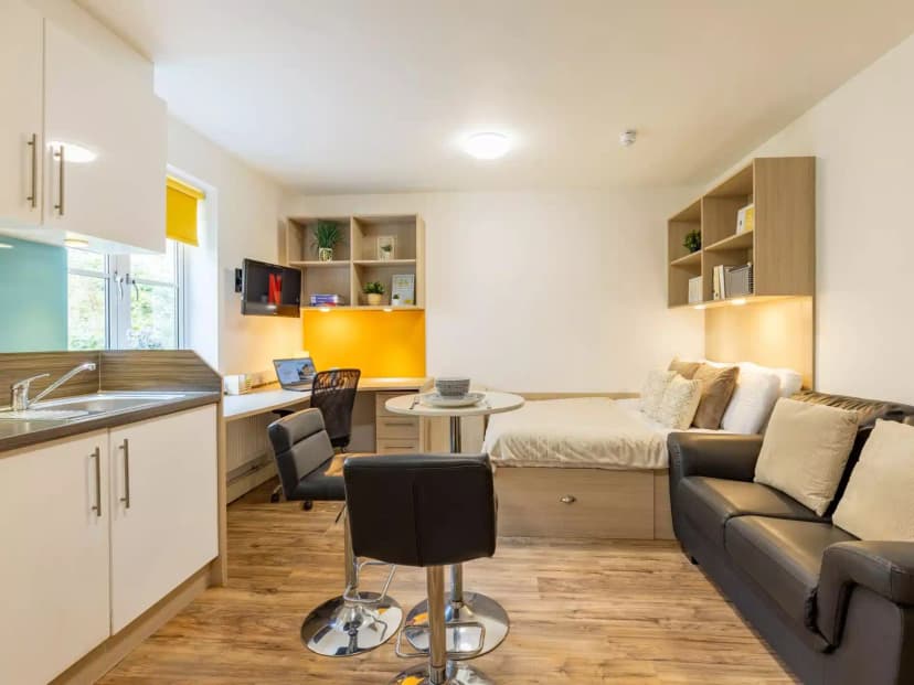 Gold Studio (Limited View) - Image 1