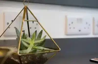 Gold Studio Upper Level Standard View - Image 3