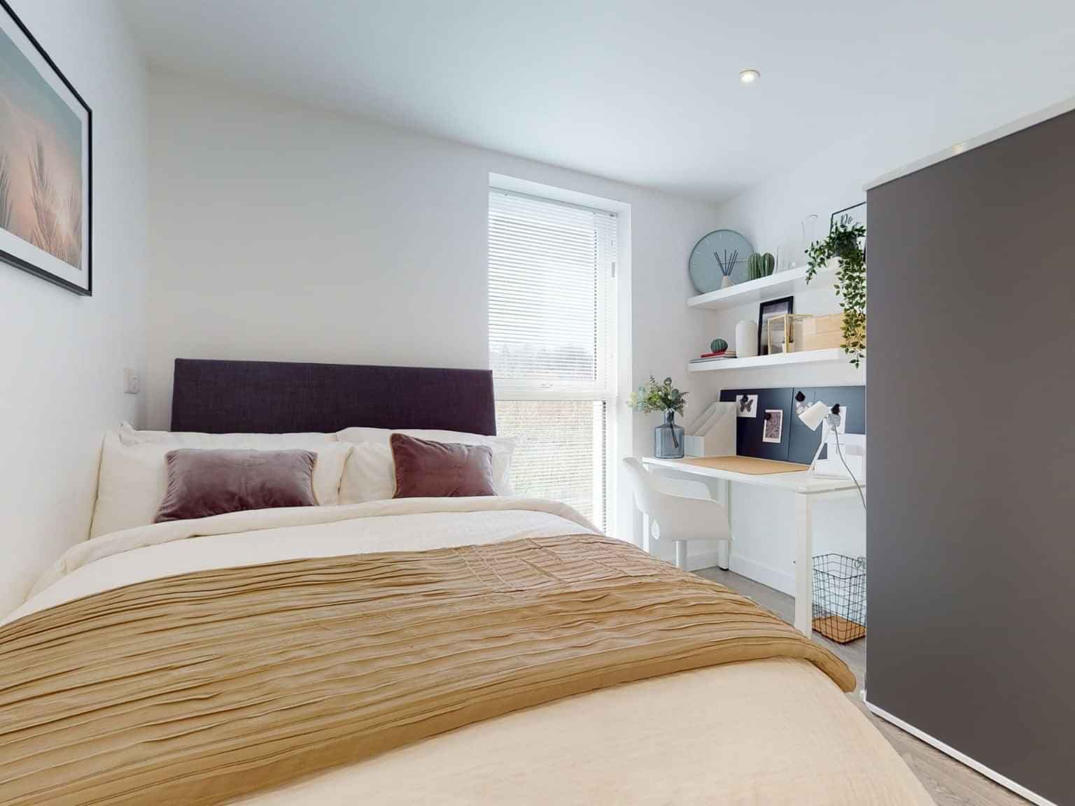 Classic Studio - Image 1