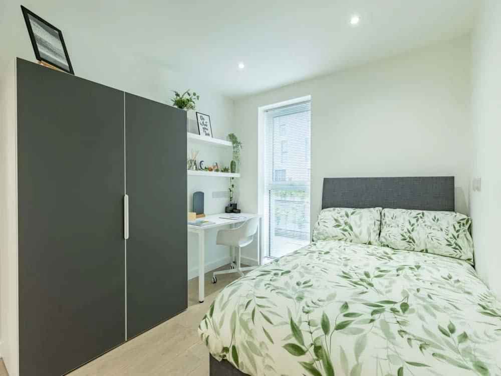 Deluxe Studio - Image 1