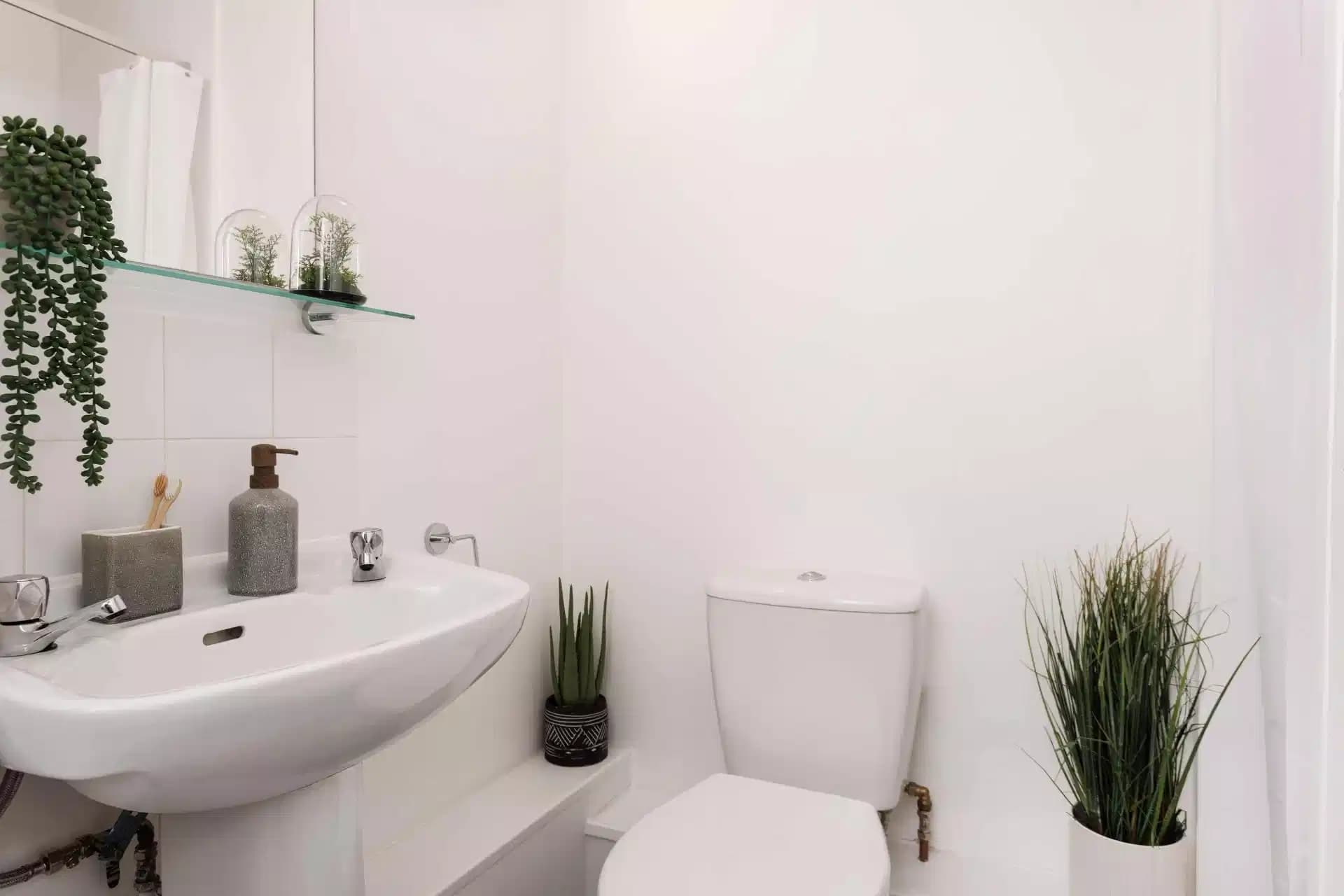 Platinum Ensuite  - Image 3