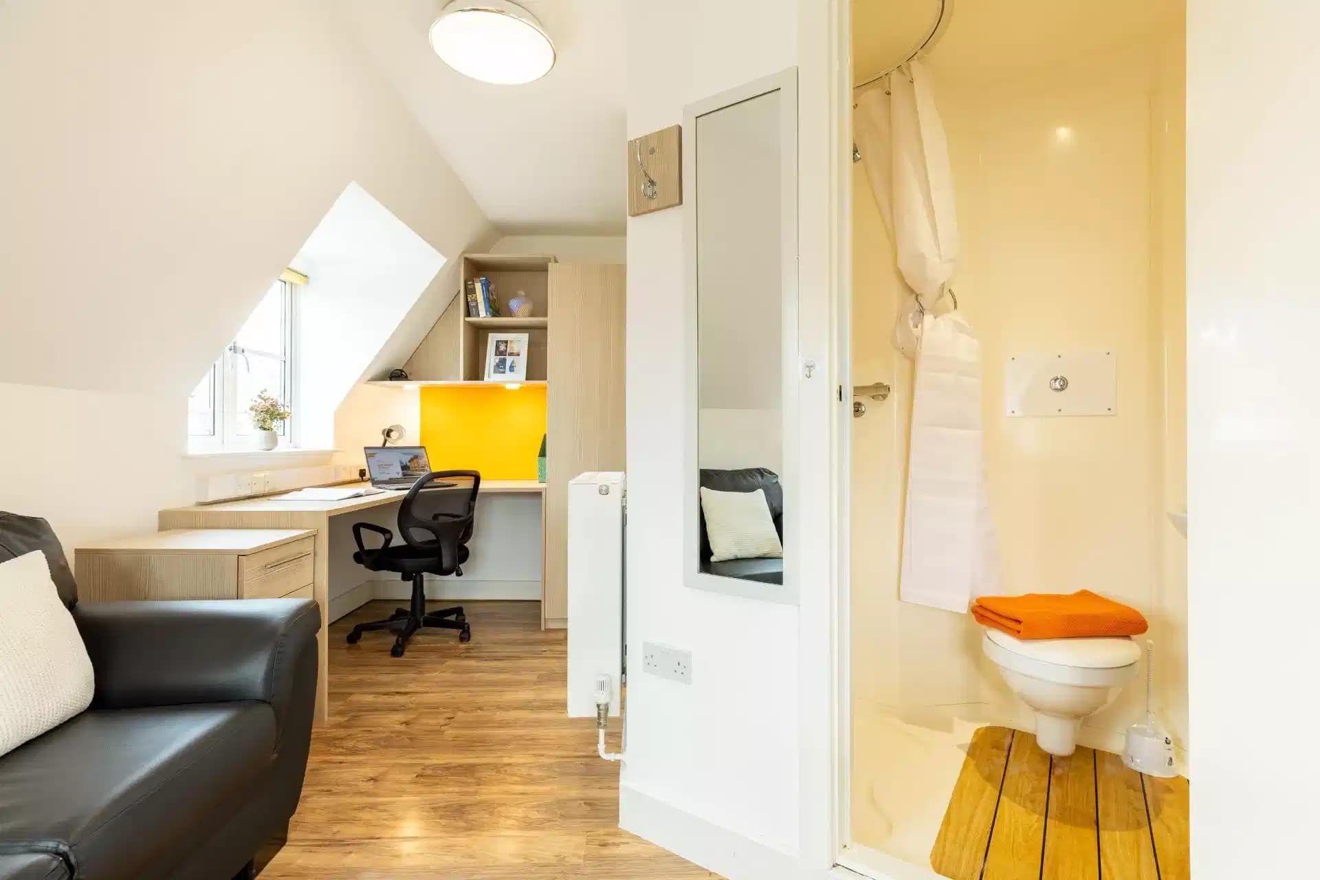 Platinum Studio (Limited View) - Image 8